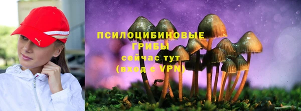 MESCALINE Покачи