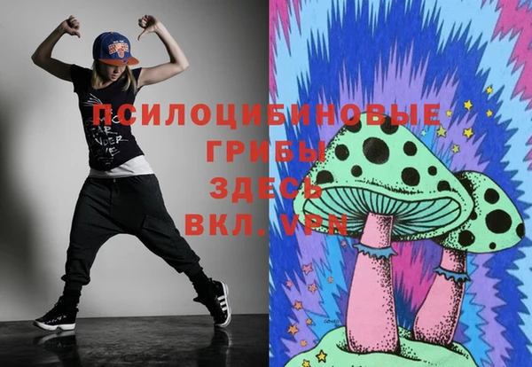 ПСИЛОЦИБИНОВЫЕ ГРИБЫ Вяземский