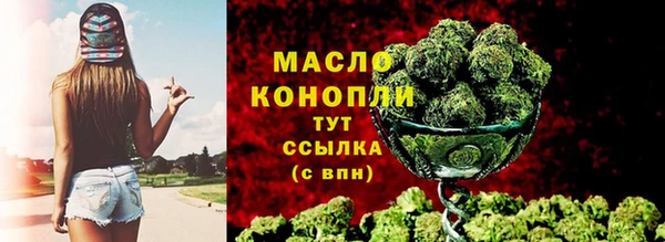 ПСИЛОЦИБИНОВЫЕ ГРИБЫ Вяземский