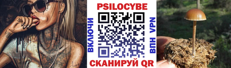 гидра зеркало  купить   Перевоз  Галлюциногенные грибы прущие грибы 